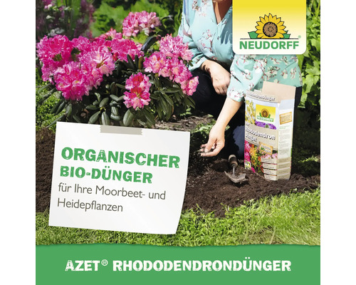 Frau düngt Rhododendren mit Neudorff Azet Rhododendrondünger in einem Garten