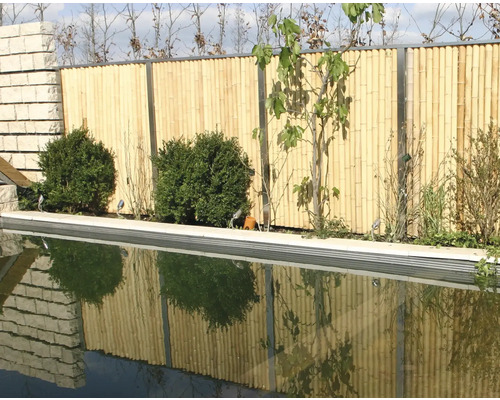 Garten mit Bambuszaun und Pflanzen neben einem Schwimmbecken