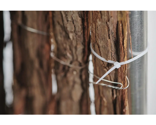 Nahaufnahme von Baumrinde, befestigt mit Kabelbindern und Draht an einem Metallpfosten