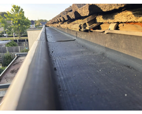 Dachrinne mit Laubschutzgitter