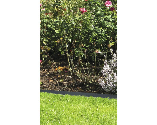 Garten mit Rosen und Rasenfläche