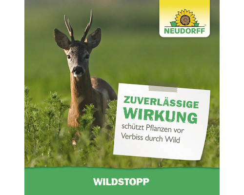 Reh im Feld mit Hinweis auf Wildstopp zum Schutz vor Wildverbiss. Neudorff Logo.