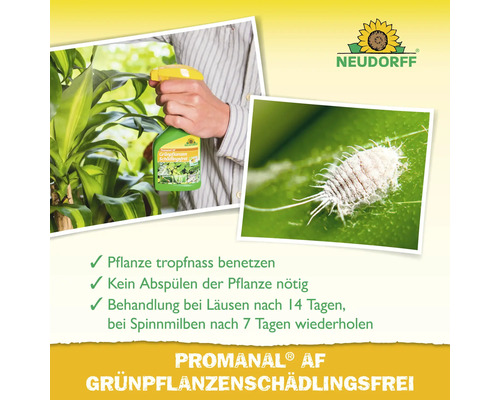 Anwendung von Neudorff Promanal AF gegen Schädlinge an Zimmerpflanzen, Neudorff Logo