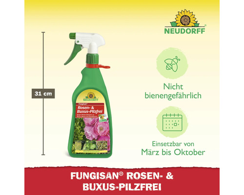 Neudorff Fungisan Rosen und Buxus Pilzfrei Sprühflasche mit einer Höhe von 31 cm. Wirkt nicht bienengefährlich und ist von März bis Oktober einsetzbar.