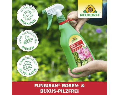 Fungisan Rosen- und Buxus-Pilzfrei Pflanzenschutzmittel in einer grünen Sprühflasche mit den Symbolen: zuverlässige Wirkung, nicht gefährlich für Bienen, Verpackung mit Altplastik und Neudorff Logo