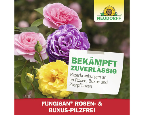 Fungisan Rosen und Buchsbaum Pilzfrei Produktbild mit Rosen und Neudorff Logo
