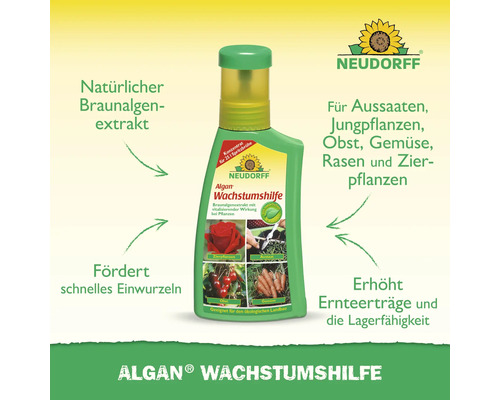 Neudorff Algan Wachstumshilfe mit Braunalgenextrakt für Aussaaten, Jungpflanzen, Obst, Gemüse, Rasen und Zierpflanzen