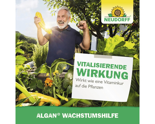 Mann freut sich über gelbe Zucchini im Garten mit Neudorff Logo und Hinweis auf vitalisierende Wirkung von Algan Wachstumshilfe
