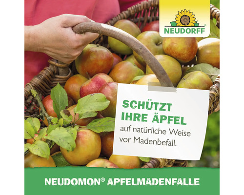 Korb mit Äpfeln und Hinweis zum Schutz vor Madenbefall