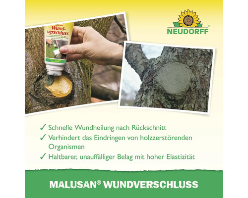 Auftragen von Malusan Wundverschluss auf einen Baum und ein mit Wundverschlussmittel behandelter Baum, Neudorff Logo
