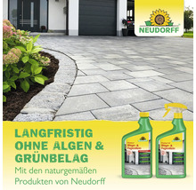 Neudorff Logo. Pflastersteine mit Neudorff Finalsan Wege- und Fugenreiniger für langfristige Algen- und Grünbelagsentfernung