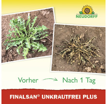 Vorher-Nachher-Ansicht von Unkrautvernichtung mit Neudorff Logo