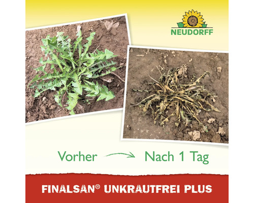 Vorher-Nachher-Ansicht von Unkrautvernichtung mit Neudorff Logo