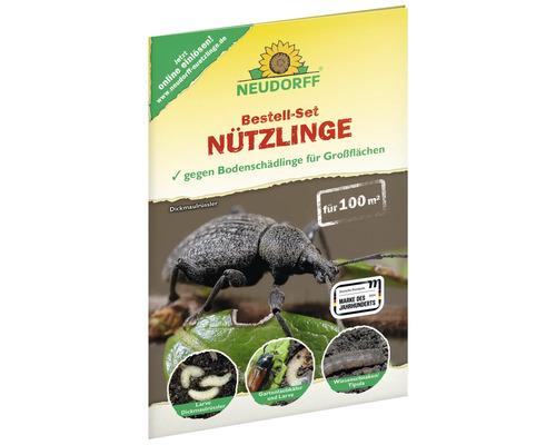 Nematoden Neudorff Bestell-Set Nützlinge für Großflächen, nützlichen Nematoden zur Bekämpfung der Larven und Puppen von Dickmaulrüsslern und Gartenlaubkäfern für ca. 100 m² Neudorff Nützlinge Bestell-Set gegen Bodenschädlinge für große Flächen mit Dickmaulrüssler, Gartenlaubkäfer und Wiesenschnaken für 100 Quadratmeter