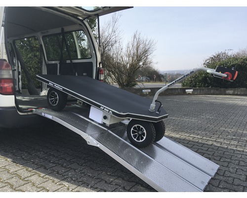 Elektrischer Plattformwagen wird in einen Transporter geladen