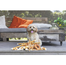 Hund sitzt vor einer Auswahl an Hundesnacks im Freien