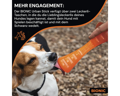 Hund leckt an einem orangefarbenen Bionic Urban Stick mit Futtertaschen