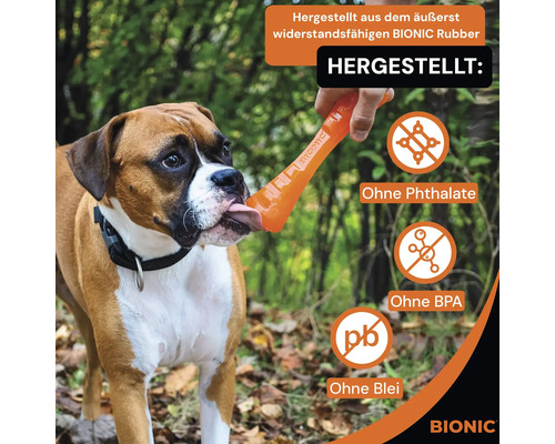 Hund leckt an einem Bionic Gummispielzeug, das ohne Phthalate, BPA und Blei hergestellt wurde