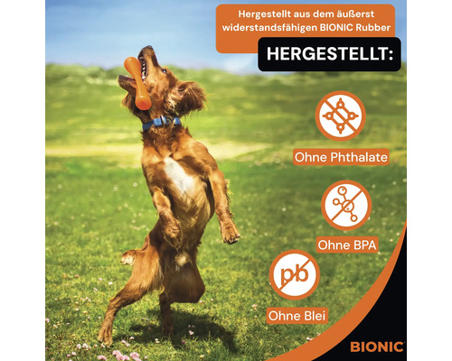 Hund spielt mit Bionic Hundespielzeug, hergestellt ohne Phthalate, BPA und Blei.