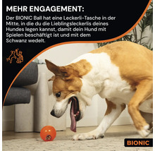 Ein Hund spielt mit einem Bionic Ball mit Leckerli-Tasche.