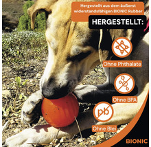 Ein Hund spielt mit einem orangen Ball aus widerstandsfähigem BIONIC Rubber, hergestellt ohne Phthalate, BPA und Blei