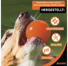 Hund mit einem orangefarbenen Ball im Maul, hergestellt aus widerstandsfähigem Bionic Rubber, ohne Phthalate, BPA und Blei, Bionic Logo