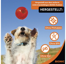 Ein Hund springt nach einem roten Bionic Gummiball. Das Produkt ist ohne Phthalate, BPA und Blei. Bionic Logo.