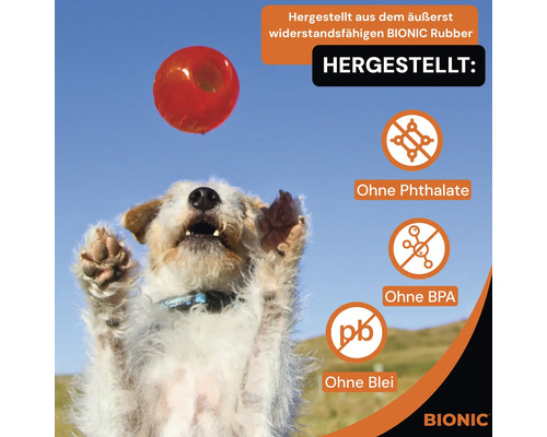 Hund versucht, einen roten Ball aus Bionic Rubber zu fangen. Das Produkt ist ohne Phthalate, ohne BPA und ohne Blei.