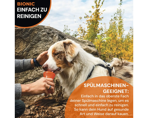 Hund trinkt aus robustem Bionic-Hundenapf, der einfach zu reinigen und spülmaschinengeeignet ist.