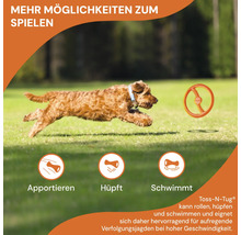 Hundespielzeug BIONIC Ring, 22,7 cm extrem widerstandsfähig, schwimmfähig, ohne Blei, Phthalate und BPA