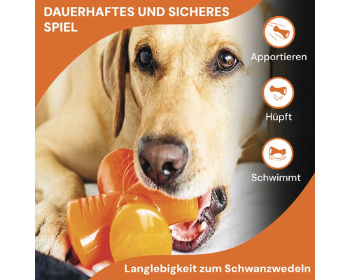 Hund mit robustem Apportierspielzeug im Maul