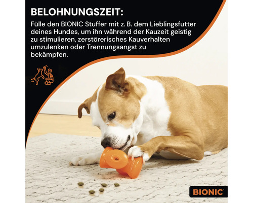 Ein Hund spielt mit einem Bionic Stuffer Hundespielzeug auf einem Teppich.