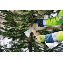 Person fällt einen Baum mit einer Axt.