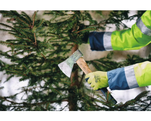 Person fällt einen Baum mit einer Axt.