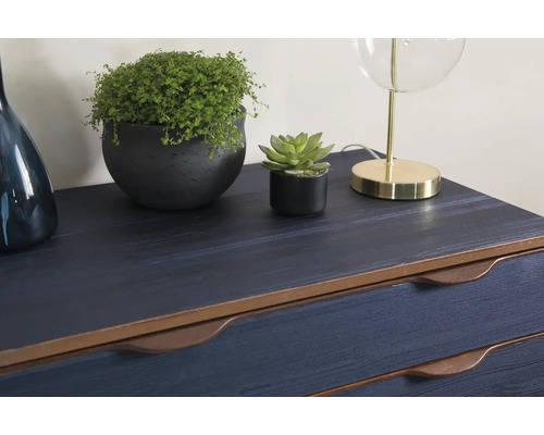 Dekorative Elemente auf einer Kommode: Pflanze, Sukkulente und Lampe.