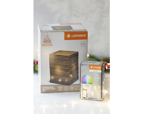 LEDVANCE Tischleuchte aus Karton und LED Lampe in Produktverpackung