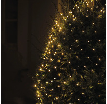 Baum mit dekorativer Lichterkette für den Außenbereich