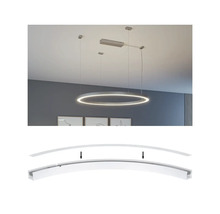 Hängelampe in Ringform mit Montagevorrichtung