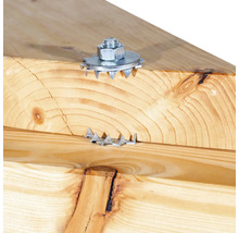 Detailansicht einer Holzbalkenverbindung mit einem Tellerkopf mit Kralle und einer Schraube.