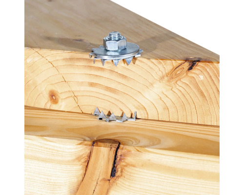 Detailansicht einer Holzbalkenverbindung mit einem Tellerkopf mit Kralle und einer Schraube.