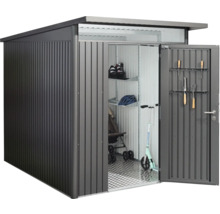 Metall Gerätehaus mit geöffneter Tür und Inneneinrichtung