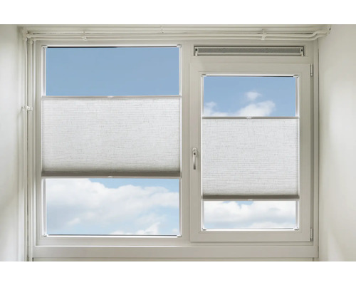 Fenster mit Plissee-Rollos zur variablen Lichtregulierung