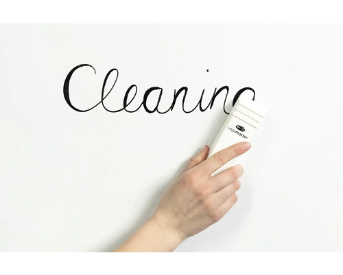 Eine Hand wischt mit einem Whiteboard-Reiniger das Wort Reinigung von einem Whiteboard.