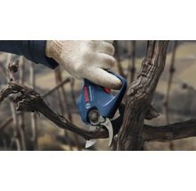 Eine Hand mit Handschuh benutzt eine Bosch Akku-Gartenschere zum Beschneiden eines Astes.