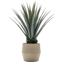 Künstliche Agave in einem Topf
