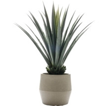 Künstliche Agave in einem Topf