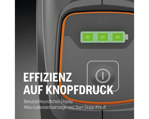 Anzeige mit Batteriestandsanzeige und Start-Stopp-Knopf