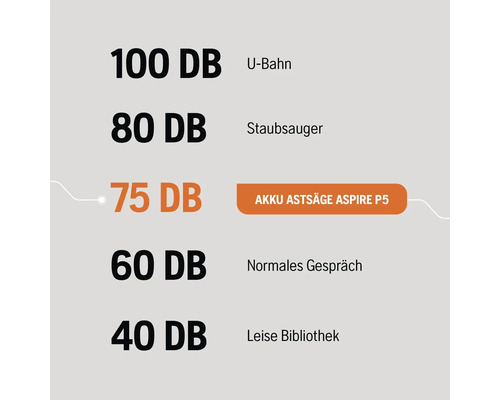 Dezibel Vergleichsgrafik: U-Bahn 100 DB, Staubsauger 80 DB, Akku Astsäge Aspire P5 75 DB, Normales Gespräch 60 DB, Leise Bibliothek 40 DB