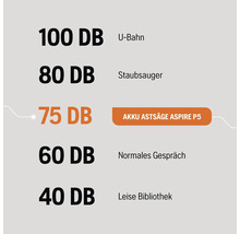 Vergleich von Geräuschpegeln: 100 Dezibel U-Bahn, 80 Dezibel Staubsauger, 75 Dezibel Akku Astsäge Aspire P5, 60 Dezibel normales Gespräch, 40 Dezibel leise Bibliothek
