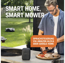 "Szene mit Smart Home Lautsprecher und Rasenmähroboter im Garten
